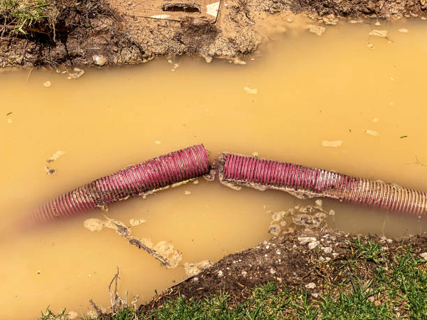 Valley Park, MO Water damage restoration Company